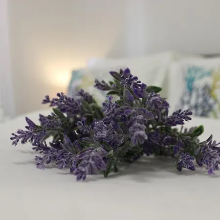 Apartman Love Apartment Rovinj Rovinj